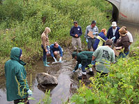 Watershed Education and Resources from the South Grand River Watershed Alliance